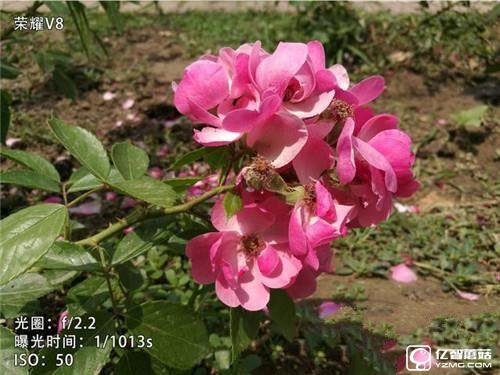 華為榮耀V8,華為P9Plus,360手機旗艦版