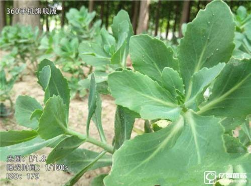 華為榮耀V8,華為P9Plus,360手機旗艦版