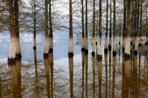 中興AXON天機7上手 教你隨手拍出專業(yè)照片