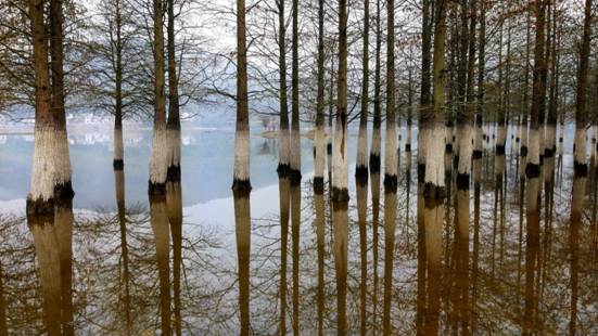 中興AXON天機7上手 教你隨手拍出專業照片