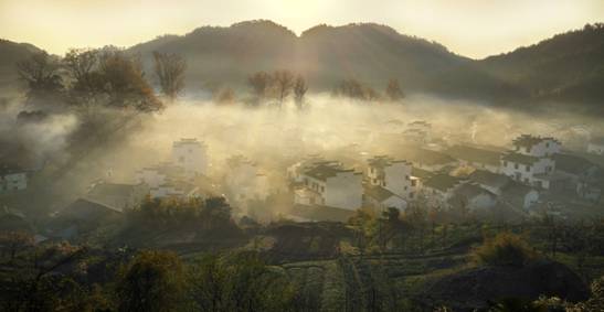 中興AXON天機7拍照樣張