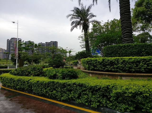 一加手機(jī)3拍照樣張圖賞