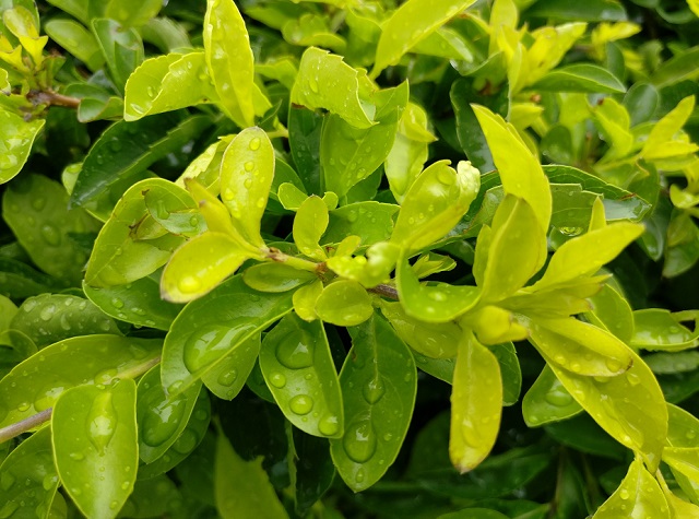 一加手機(jī)3拍照樣張圖賞