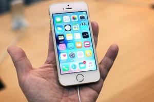 禍起蕭墻！低價iPhone SE拖累高端iPhone6s銷量