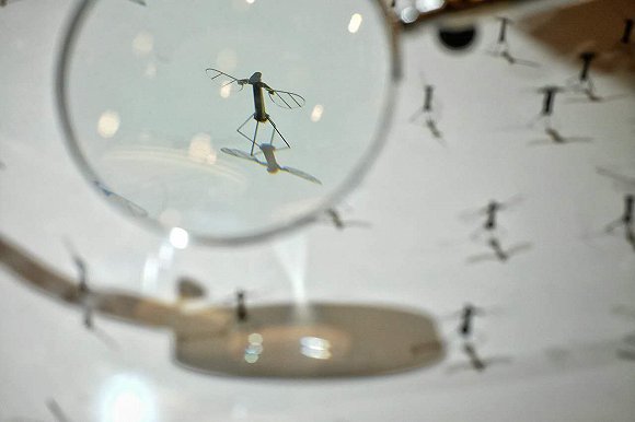 達沃斯探索區展示了多款機器人