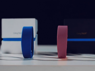 豚鼠運動手環怎么樣？豚鼠體感手環評測