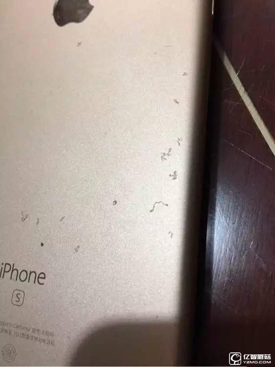 iPhone6s驚現“氧化門” 您中招了么?