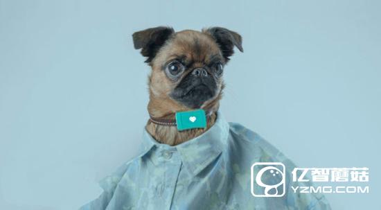 家中汪星人沒(méi)人管?Tracy Tracker智能管家?guī)湍忝? data-bd-imgshare-binded=