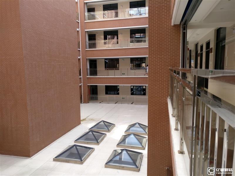 Zealer王自如評測一加3：不將就 好美！