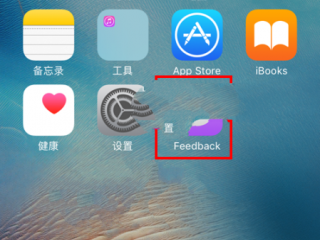 蘋果Feedback是什么？有什么用？怎么刪除？