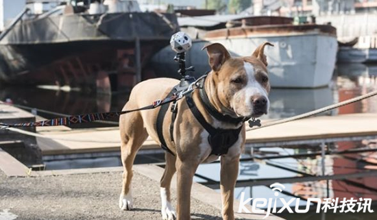 VR視頻如何拍攝 拍攝VR資源也是個體力活！