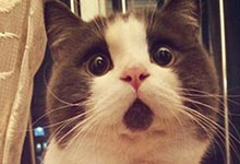 奇葩智能穿戴 簡直污到沒朋友