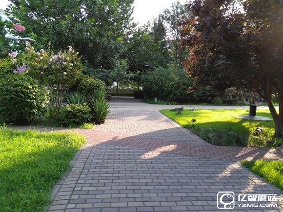 適合手機推薦 標題待定 (不發布)