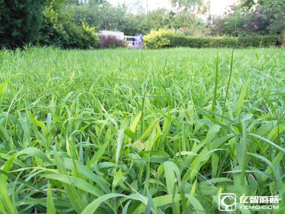 適合手機推薦 標題待定 (不發布)