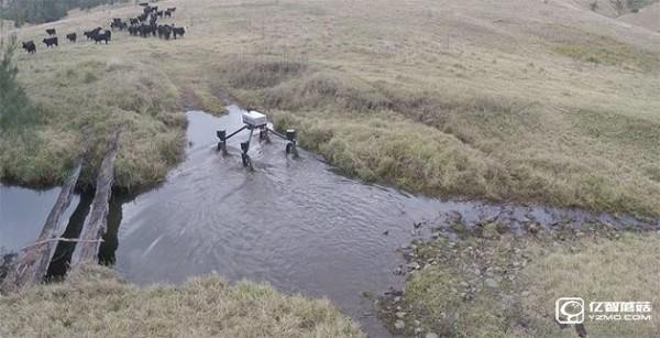 FSMn-fxunyxy6295287.jpg http://static.cnbetacdn.com/article/2016/0802/8cb920e7488fe8d.jpg