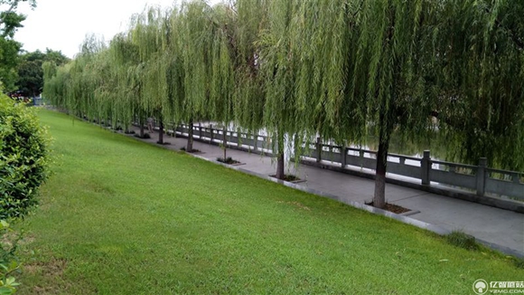 紅米Pro尊享版怎么樣？紅米Pro尊享版全面評測