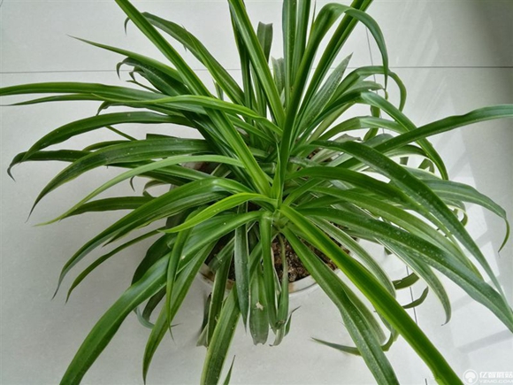 榮耀note8好不好？榮耀note8上手使用后深度評測