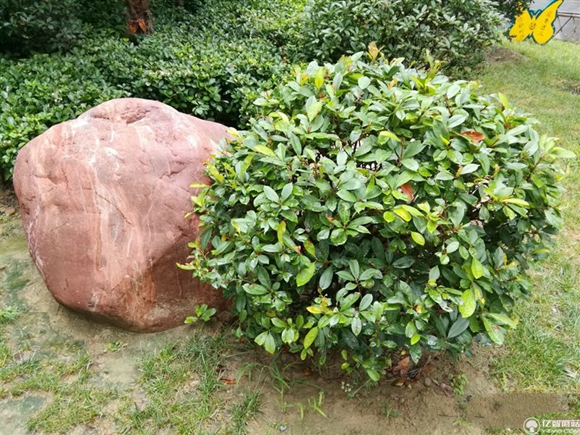 榮耀note8好不好？榮耀note8上手使用后深度評測