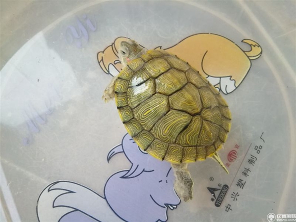 榮耀note8好不好？榮耀note8上手使用后深度評測