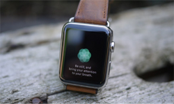 讓這些可穿戴設(shè)備   加點(diǎn)觸感或許變得更有用