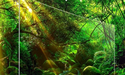 OLED電視發(fā)展受阻？三星第二代量子點(diǎn)SUHD電視優(yōu)勢解析