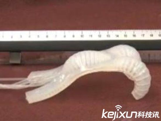 哈佛大學研制出軟體機器人 形似章魚成本極低