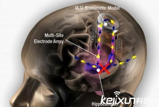 人工智能機(jī)器人會(huì)背叛人類嗎？五大巨頭聯(lián)手防范