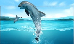 三星55量子點(diǎn)電視持續(xù)降價(jià) 體驗(yàn)視覺沖擊