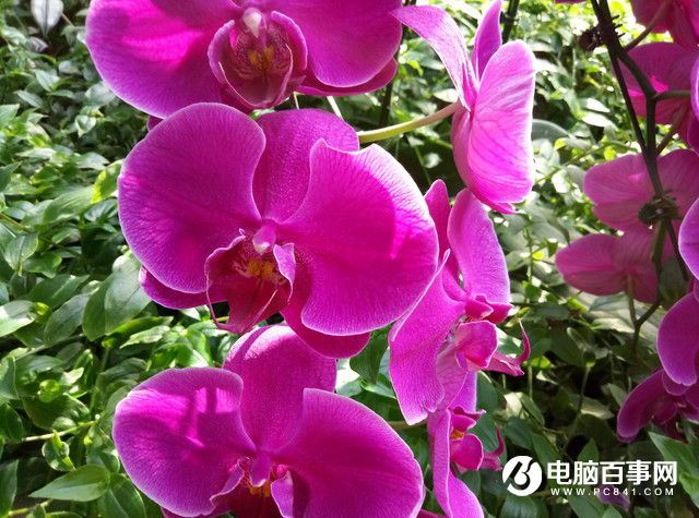 魅藍(lán)E半月使用體驗(yàn)評(píng)測(cè)：品質(zhì)實(shí)力不輸顏值