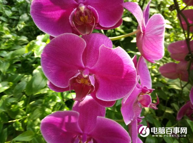 魅藍(lán)E半月使用體驗(yàn)評(píng)測(cè)：品質(zhì)實(shí)力不輸顏值