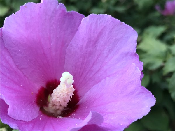 iPhone7/7 Plus評測：依然是目前體驗最好的手機