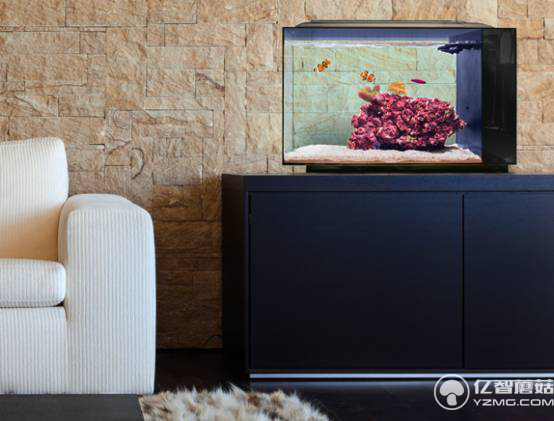 想要魚兒更健康地成長？ 看看這款智能水族箱