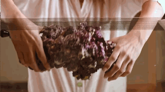 想要魚兒更健康地成長？ 看看這款智能水族箱