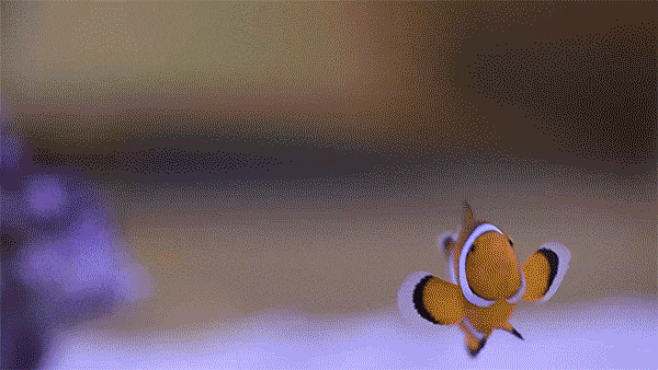 想要魚兒更健康地成長？ 看看這款智能水族箱