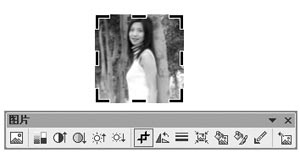  如何在PowerPiont里面裁剪圖片？