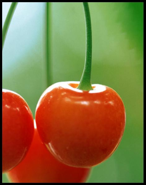 WPS文字技巧:和我一起畫櫻桃 三聯教程