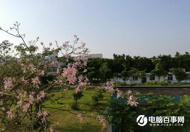 文藝范商務旗艦 TCL 950詳細評測