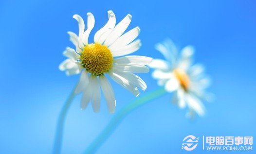 桌面圖標無法拖動或自由移動的解決辦法