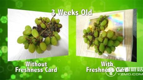 不浪費！這個保鮮卡能讓大大延長食物保質期