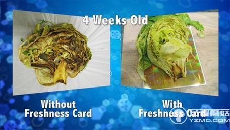 不浪費！這個保鮮卡能讓大大延長食物保質期