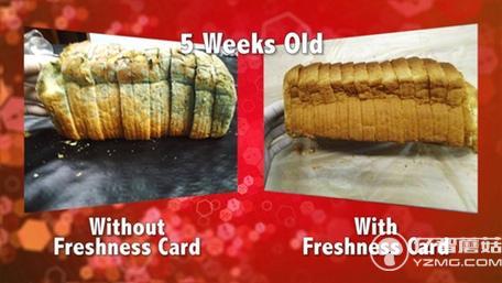 不浪費！這個保鮮卡能讓大大延長食物保質期