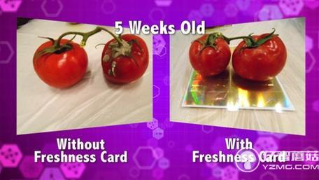 不浪費！這個保鮮卡能讓大大延長食物保質期