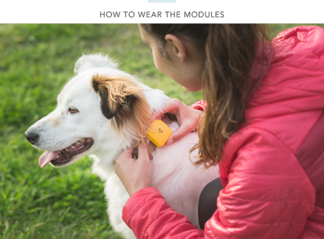 快給你的狗狗配個GPS吧 高科技防丟就靠它了