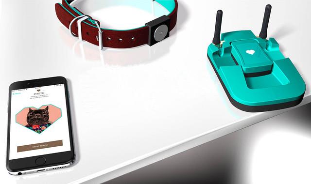 愛寵無人看護?別擔心人工智能已經來了