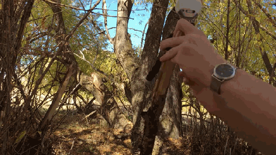 有了這款補光神器，隨便拍出單反效果美圖范兒