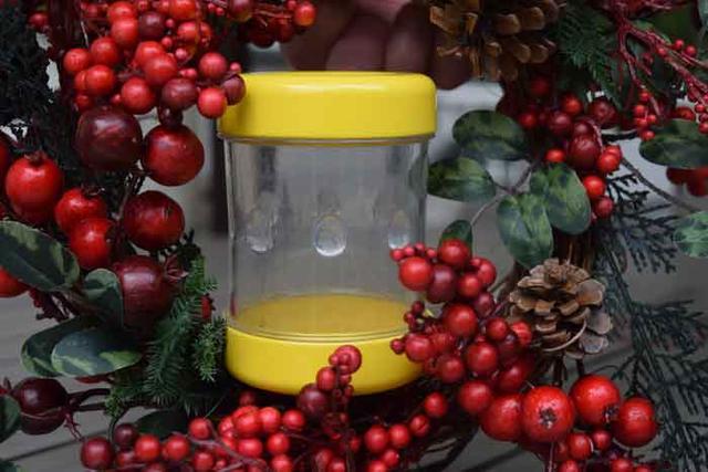 如何剝一顆完整雞蛋？這款小裝置幫你輕松做到