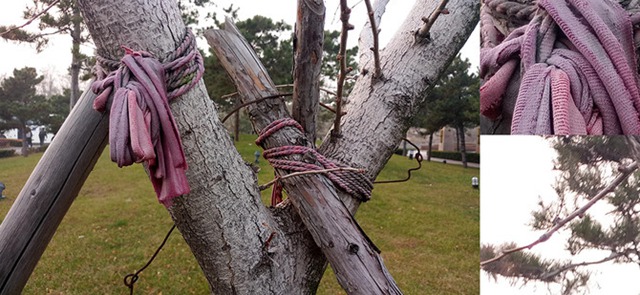 魅族PRO 6s值得買嗎？魅族PRO 6s評測