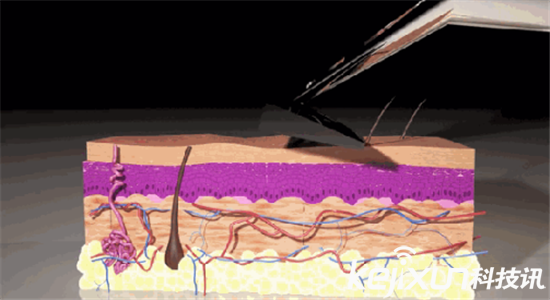 激光剃須刀: 無需換刀頭 每天享受干凈臉容
