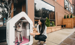 Dog Parker智能狗窩能有償“看狗” 再不怕出門丟狗