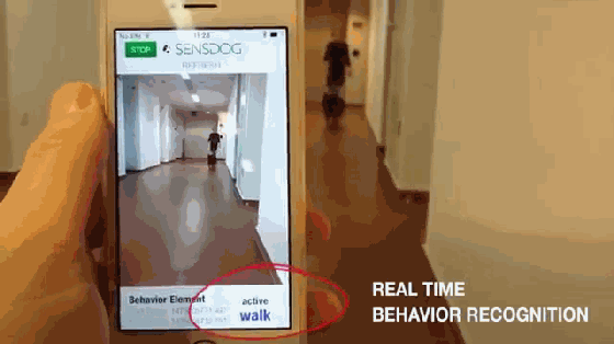 養(yǎng)狗的沒買這個項圈 別說你會和狗狗溝通